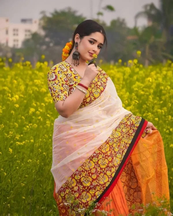 Falgun Heritage Hafsilk Jaamdani Saree